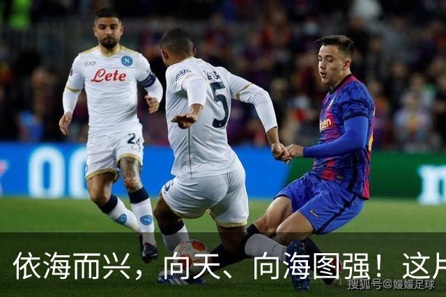 依海而兴，向天、向海图强！这片“蔚蓝”从开放政策到科技力量孕育无限可能