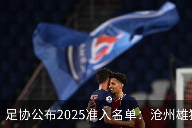 足协公布2025准入名单：沧州雄狮、广州队无缘